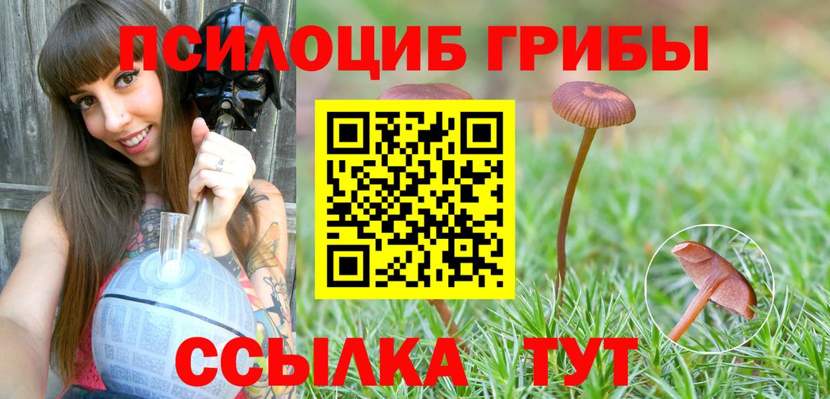 Галлюциногенные грибы GOLDEN TEACHER Ишимбай