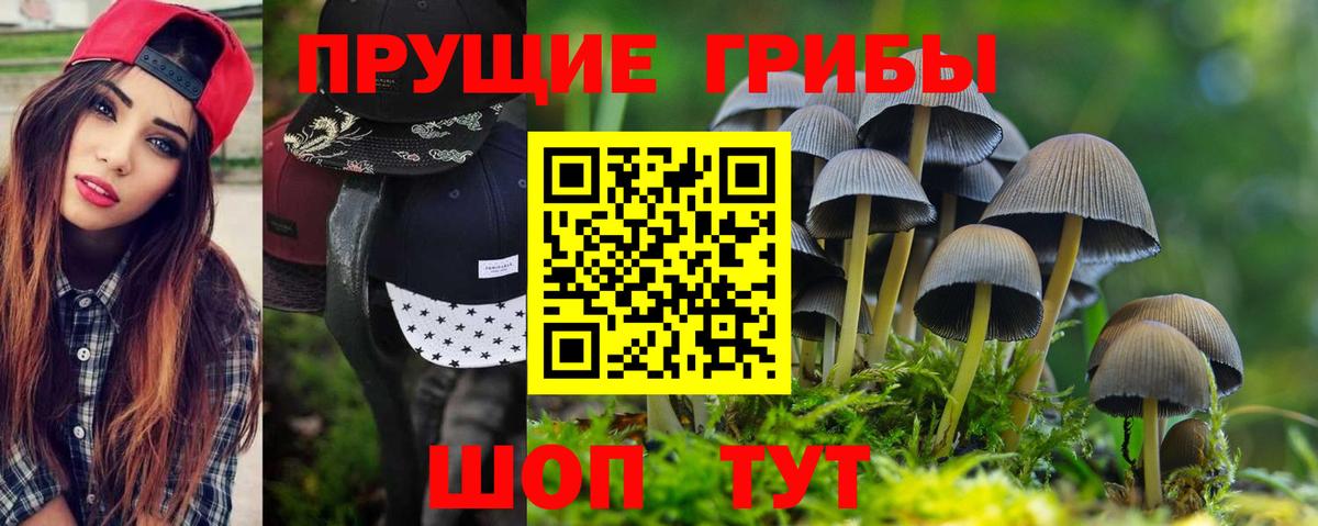 Ишимбай  Псилоцибиновые грибы ЛСД  Вход с VPN  Галлюциногенные грибы Psilocybine cubensis 